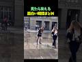 見たら笑える面白い瞬間まとめ