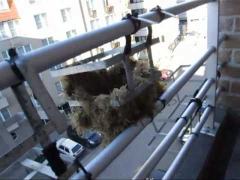 Video: Grădină Pe Balcon. Partea 1