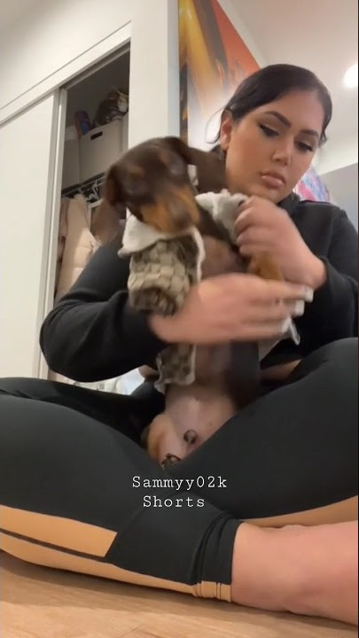 Dinero Has His Moments too 🐶#shorts #fashion #shortvideo #Sammyy02k