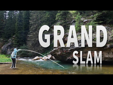 EPIC GRAND SLAM! LARGE Trout Fly Fishing in Untouched Water