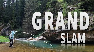 EPIC GRAND SLAM! LARGE Trout Fly Fishing in Untouched Water