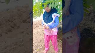 Download Mp3 jangan ganggu Mak lampir #shorth Gudang lagu Download Mp3 jangan ganggu Mak lampir #shorth