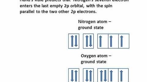 DNA as a Quantum Computer