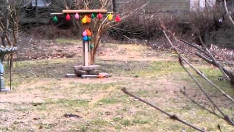 cat proofing my bird feeder