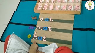3 Letter Words: Analysis of Sounds!