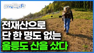 대기업에서 모은 돈으로 4,500평 울릉도 산을 샀다. 따라서 자연인 하고 싶어지는 완벽한 귀촌 인생│한국기행│#골라듄다큐