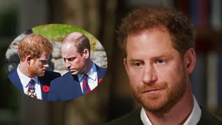 “He snapped”: Prince Harry reveals shocking physical altercation with Prince William
