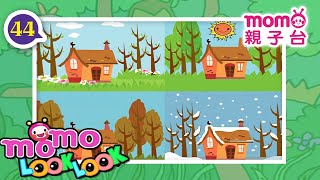 LOOK LOOK - 44【春夏秋冬 歌】m o m o 歡樂谷S1｜玩遊戲：音樂木頭人｜兒歌｜童謠｜邊聽音樂邊學習｜動動腦｜猜一猜｜學齡幼兒【親子台｜官方】momokids