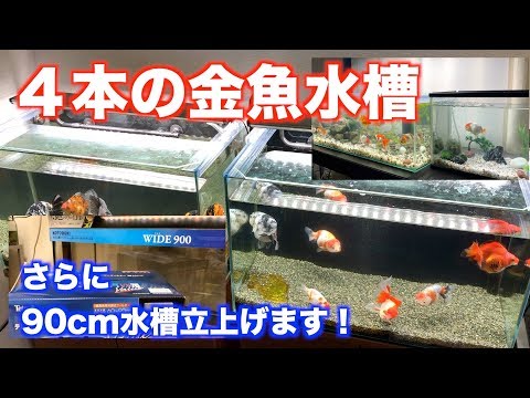 水槽　90cm W90*D40*H40 厚み8mm ニッソー 90cm水槽ベーシック5点セット 代引不可 | チャーム