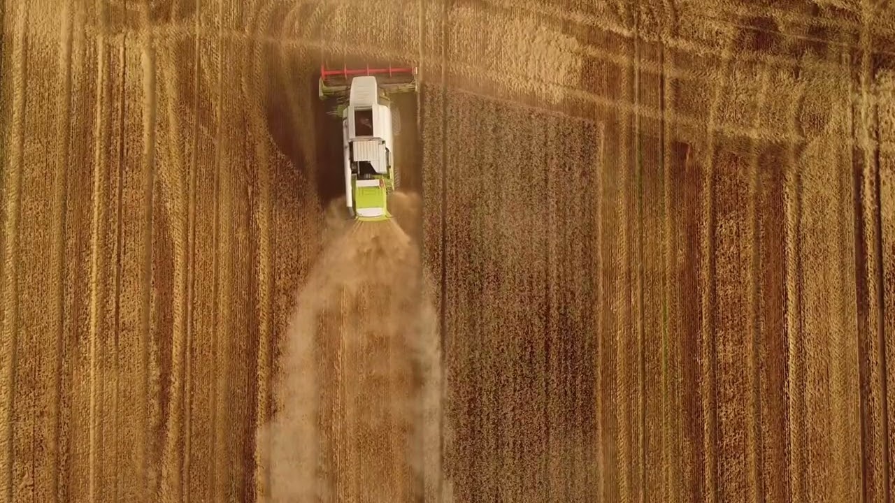 Impacto de las tormentas solares en la agricultura