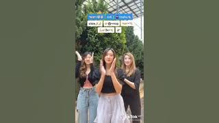kumpulan tiktok