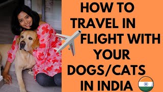 How to travel with pets in Flight in India, pets in airlines cabin and cargo, screenshot 4