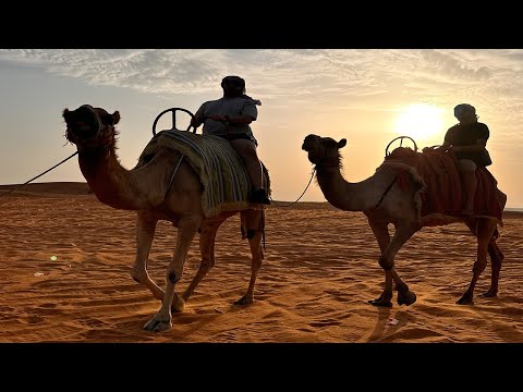 Desert Safari Dubai with camel trekking 2023 | Evening safari with bbq dinner | Best in Dubai