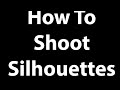 How To Shoot Silhouettes - 5 Easy Steps #shorts #wildlifephotography #birdphotography #silhouette