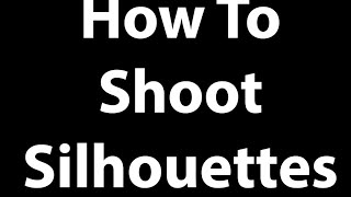 How To Shoot Silhouettes - 5 Easy Steps #shorts #wildlifephotography #birdphotography #silhouette