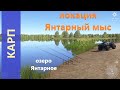Русская рыбалка 4 - озеро Янтарное - Карп: снова крупные бойлы