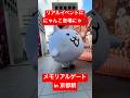 リアルイベントにかわいいにゃんこが登場にゃ🐾　【にゃんこ大戦争1億ダウンロード・メモリアルゲート・京都駅】 #にゃんこ大戦争 #battlecats