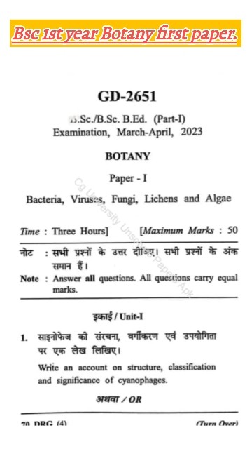Bsc 1st year botany first paper 2024 - YouTube