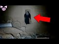 Creepy Things Caught on Camera That Defy Explanation