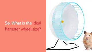 What is the recommended wheel size for a Syrian hamster? - Hamster Wheel FAQ