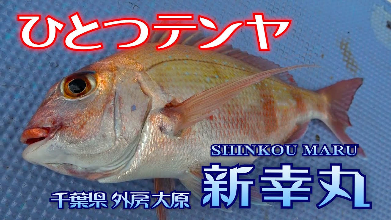 新幸丸 千葉県大原港 ひとつテンヤ 釣りビジョン マガジン Youtube