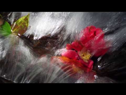 いくつ知っていますか 世界の美しい場所 秋蛇星オリジナル写真集と井上陽水 少年時代 歌 森山良子 