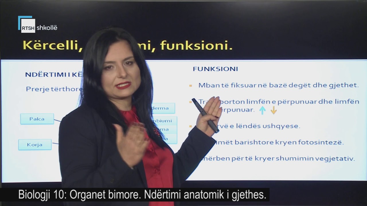 Biologji 10 - Organet bimore. Ndërtimi anatomik i gjethes.
