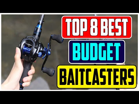 Expert Reviews Top 8 Best Baitcaster Combos On a Budget for