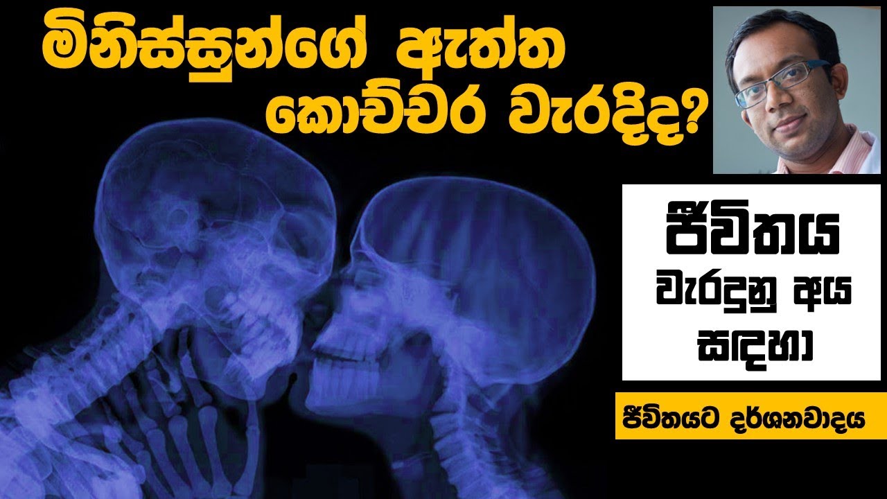 බුද්ධිමත් මිනිස්සු කොහොමද ප්‍රශ්න දිහා බලන්නේ: ප්ලේටෝගේ ගුහාව පිලිබඳ දෘෂ්ටාන්තය