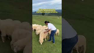 Amazing trip in northern Thailand