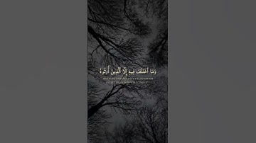 ( كَانَ النَّاسُ أُمَّةً وَاحِدَةً )#سورة_البقرة #ياسر_الدوسري