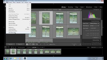 How to Create Lightroom Watermark