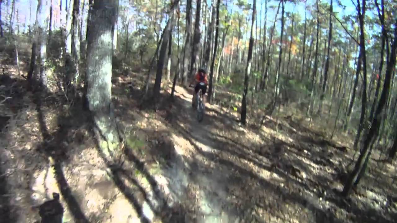 Wolf Ridge Trail - Shenandoah Mountain 100 - George Washington National Forest