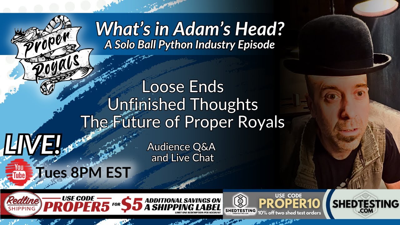 Solo Deep Dive: Proper Royals’ Future, Scrambler Gene, PalmStreet Growth & Long-Term Goals