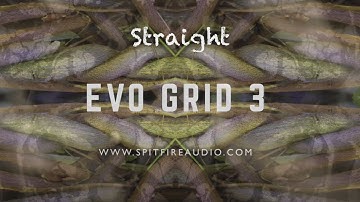 EVO Grid 3 by Spitfire Audio  - Straight