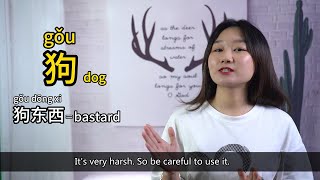 10 Special Animal Words/Names to Describe People in Chinese (You Must Know) - Learn Mandarin Chinese