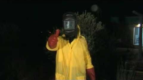 Oscar the Movie official trailer