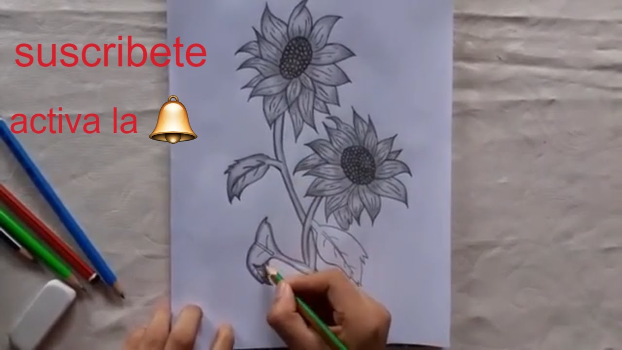 dibuja_girasoles 🌻Como dibujar girasoles a lapiz grafito/How to draw  sunflowers in graphite pencil🌻 - thptnganamst.edu.vn