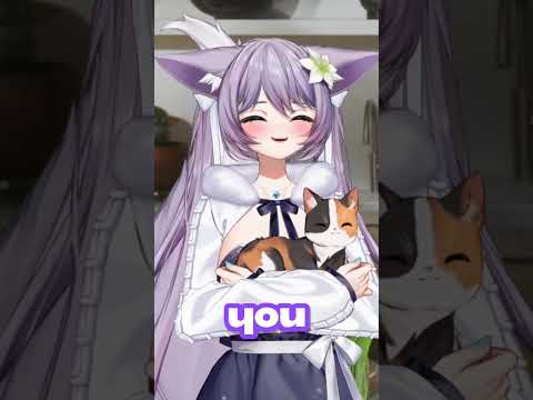 How Dare You Bully My Cat