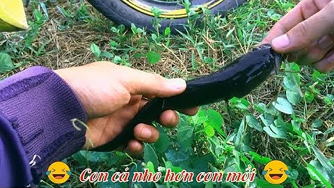 Chia sẻ điểm câu Lure tại Cần Thơ! KCN Bình Minh dưới chân Cầu cần Thơ!