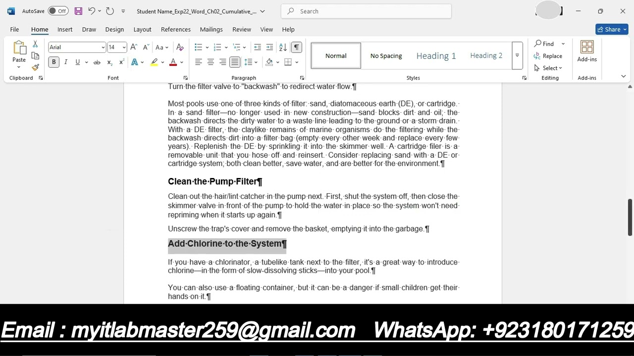 Exp22 Word Ch02 Cumulative Pool
