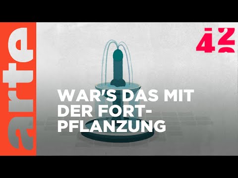 Video: Wann werden aus Spermatiden Spermien?