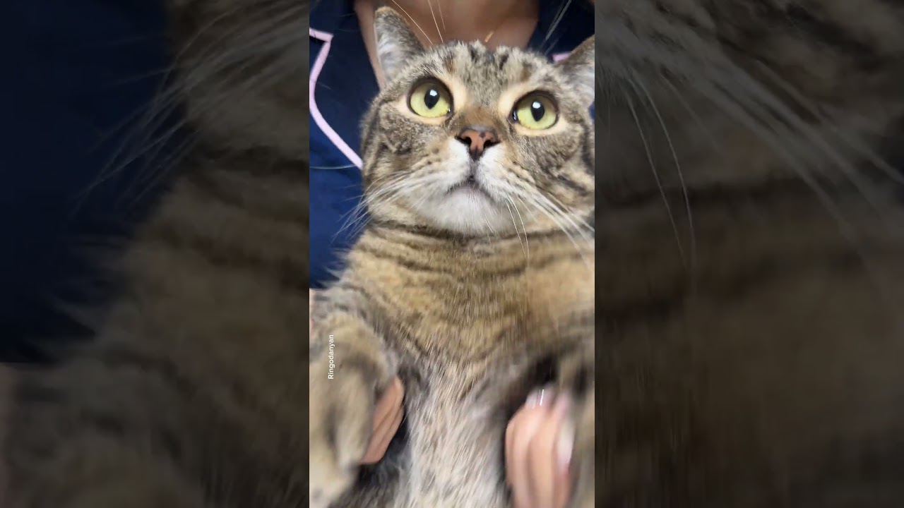 Knock on the door💟💗 