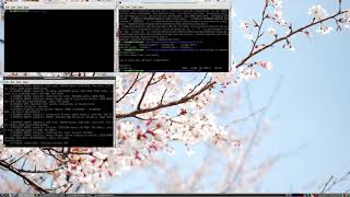 Working with Linux Kernel on NI Linux Real-Time Targets: Out-of-tree Modules and Kernel Debugging