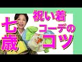 7歳の祝い着コーデのコツ　七五三 おあつらえ　着物、帯、小物