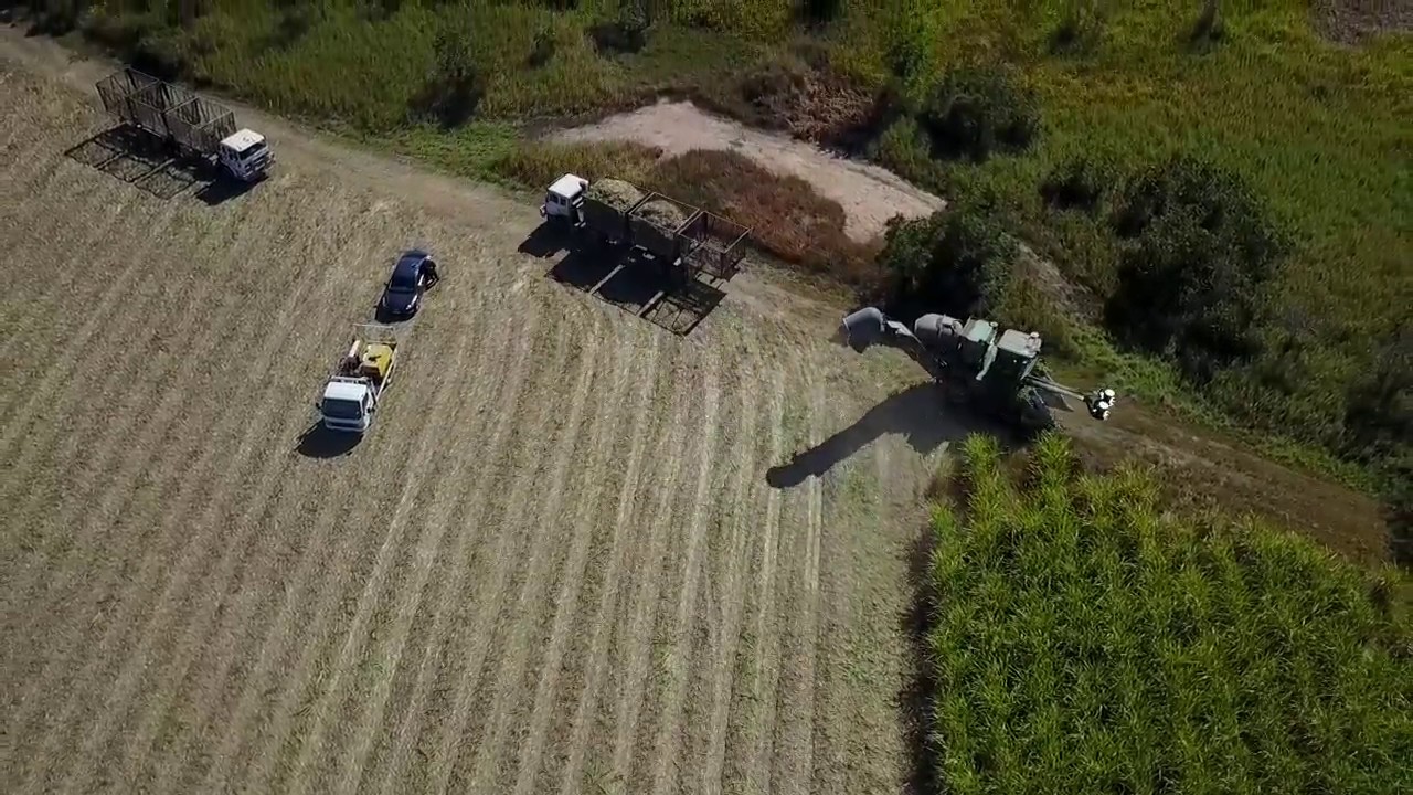 CANE HARVESTING CARMILA QLD HD YouTube