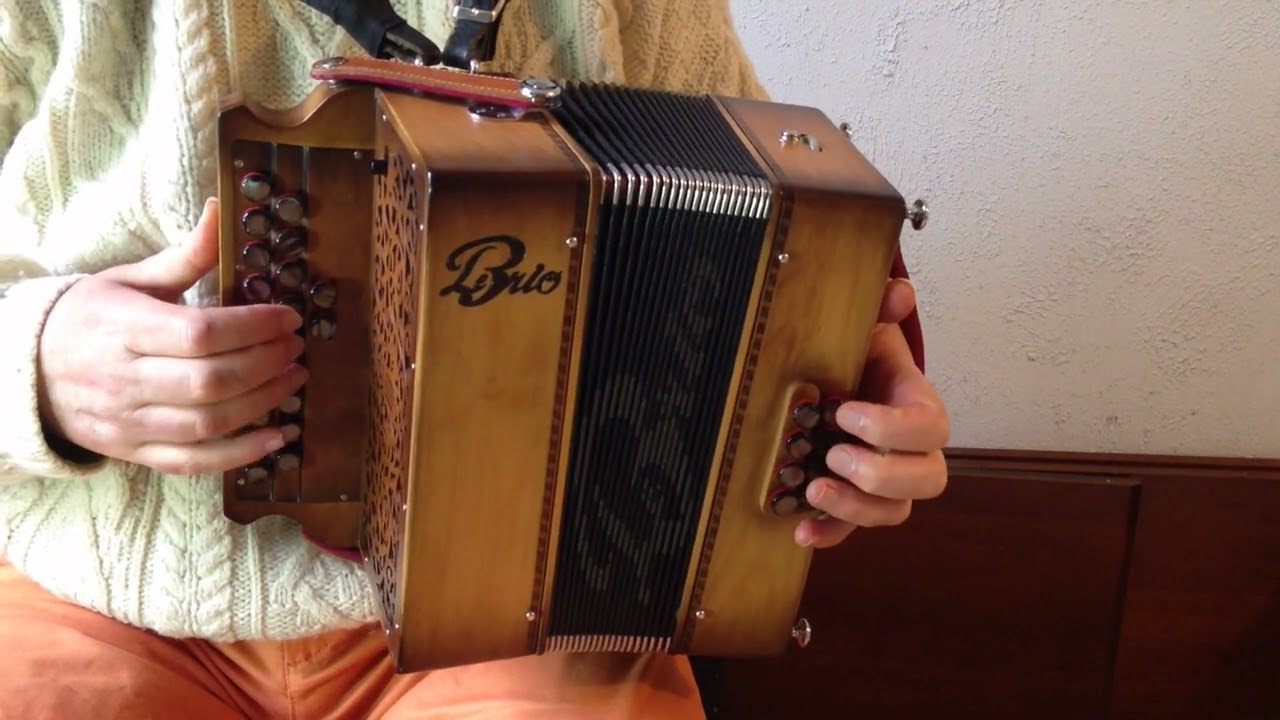 Blues avec un Accordéon Diatonique 21 Boutons 8 Basses