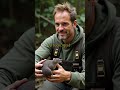 Mind-Blowing Platypus Facts You Never Knew #PlatypusFacts #WildlifeWonders