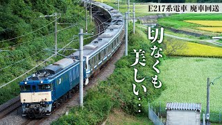 さよならE217系電車…ようやく撮れたぞ！新潟EF64牽引《 廃車回送 》