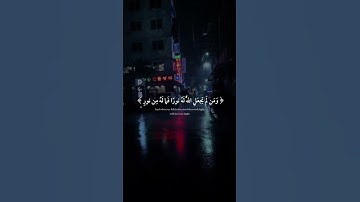 اكتب شي تؤجر عليه 💙 | القارئ شريف مصطفى | قرآن كريم